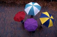umbrellas picture