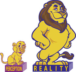 survey-perception-reality