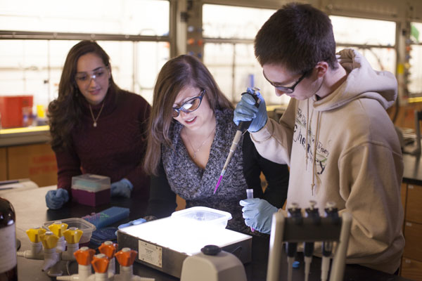 Chemistry ranked as one of the nation’s best undergrad programs
