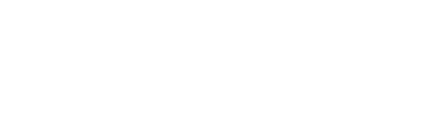 The College of New Jesey Logo