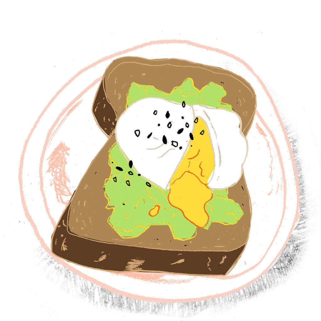 Illustration avocado toast