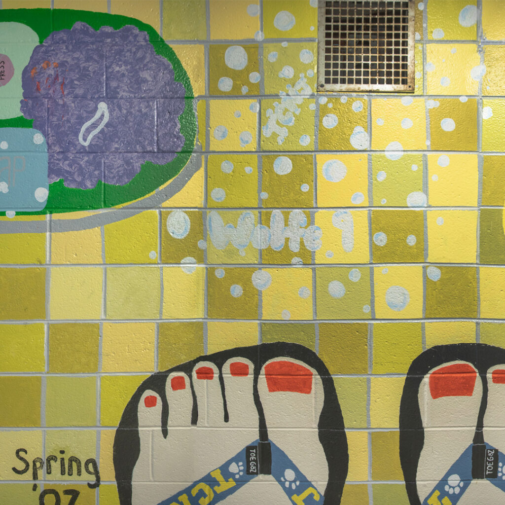 Mural of toes in shower